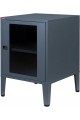 - Ziglat 655 - Metal Cabinet - Glass Door