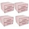 4 Pcs 2 Compartment Multi-Purpose Organizer Drawer 31 x 30 x 22 CM, Pink